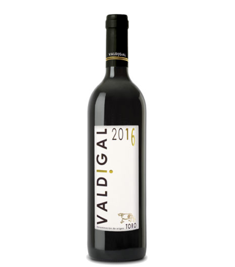 comprar vinos excepcionales de Toro en la favorita Salamanca. Vinos únicos en Salamanca