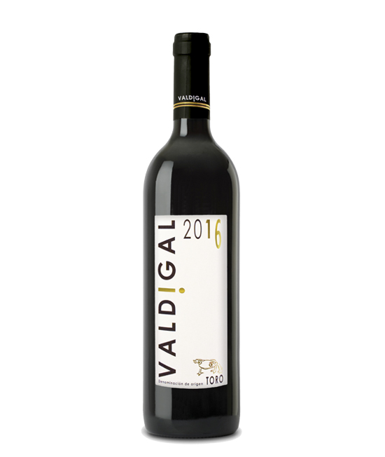 comprar vinos excepcionales de Toro en la favorita Salamanca. Vinos únicos en Salamanca