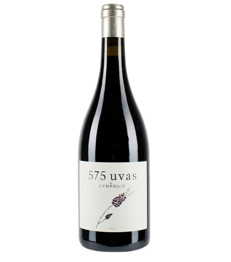 575 UVAS. VIÑAS DEL CÁMBRICO. Roble. Rufete. D.O. Sierra de Salamanca