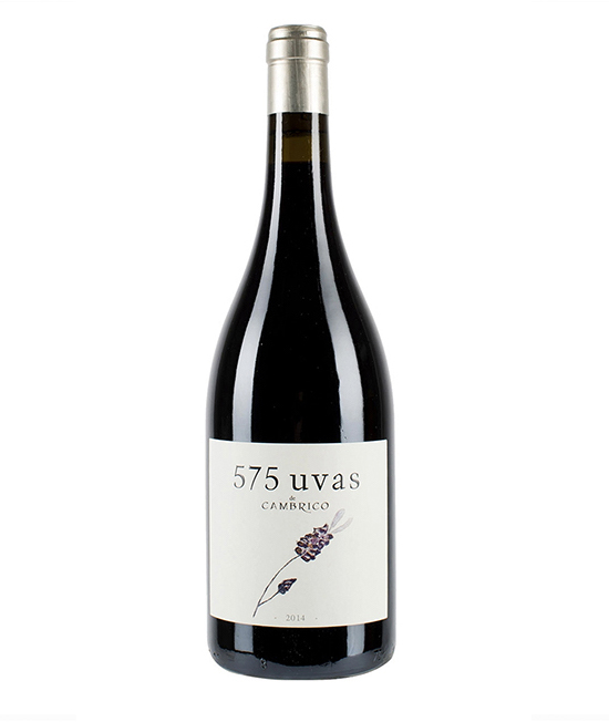 575 UVAS. VIÑAS DEL CÁMBRICO. Roble. Rufete. D.O. Sierra de Salamanca