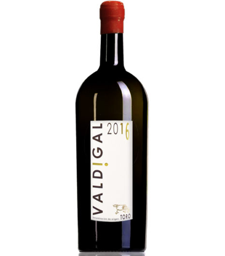 COMPRAR VINO EN SALAMANCA. SELECCION DE VINOS LA FAVORITA. VINOS UNICOS EN SALAMANCA