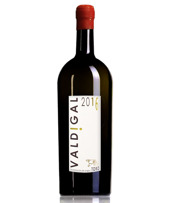 COMPRAR VINO EN SALAMANCA. SELECCION DE VINOS LA FAVORITA. VINOS UNICOS EN SALAMANCA