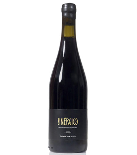 Sinérgico tinto VINO DE SALAMANCA EN LA FAVORITA