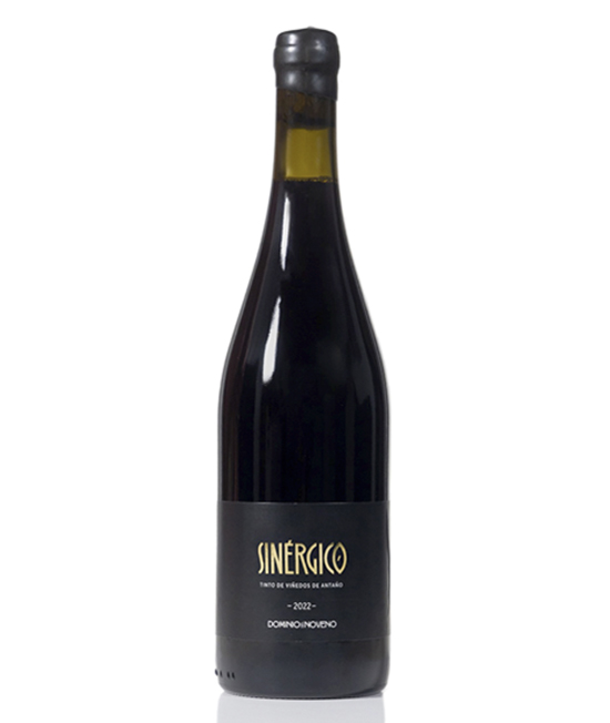 Sinérgico tinto VINO DE SALAMANCA EN LA FAVORITA